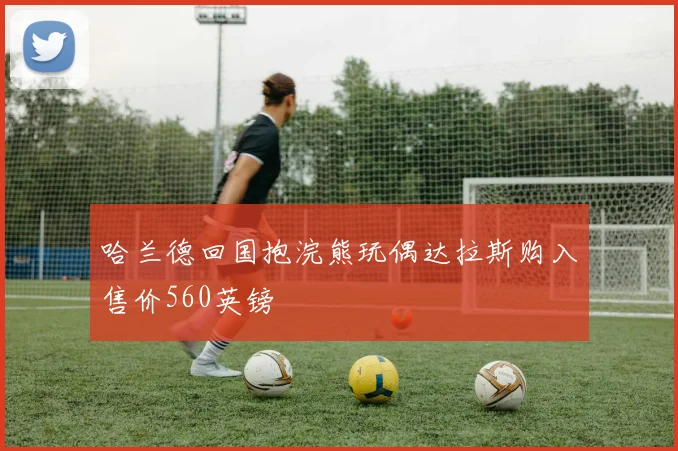 哈兰德回国抱浣熊玩偶达拉斯购入售价560英镑